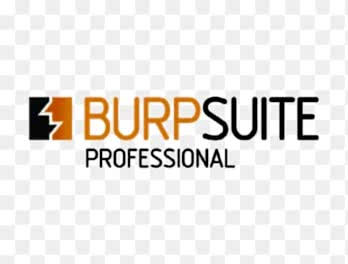Burp Suite