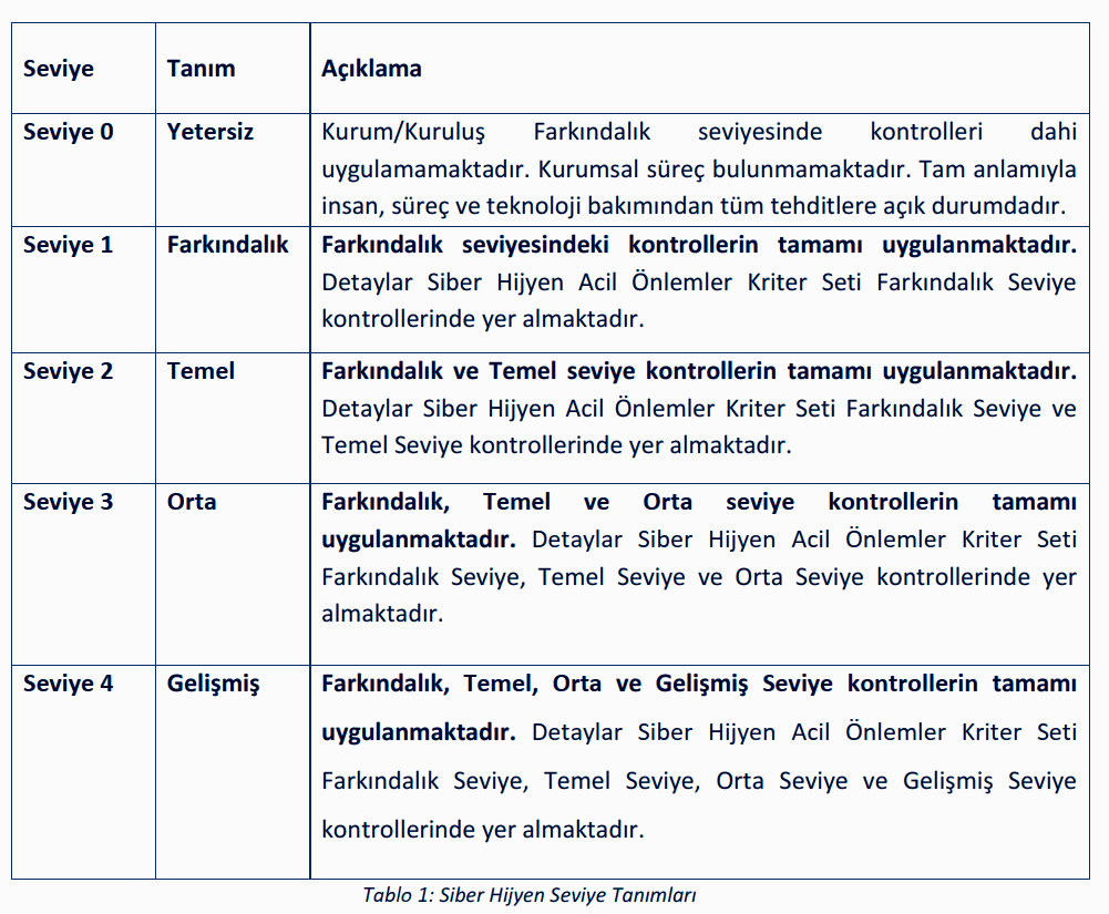 Siber hijyen görseli